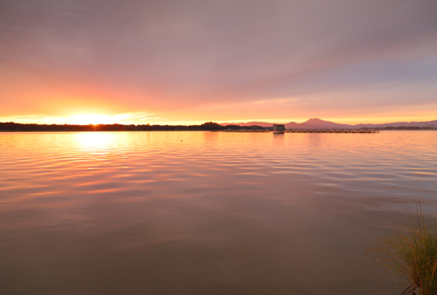 水郷筑波国定公園　癒しの霞ヶ浦夕景