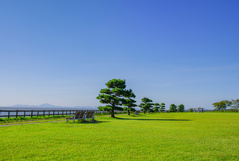 天王崎公園となめキャン